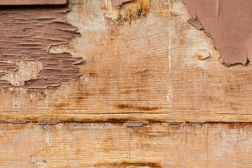 To Paint or Not to Paint? A Painter's Guide to Decaying Wood